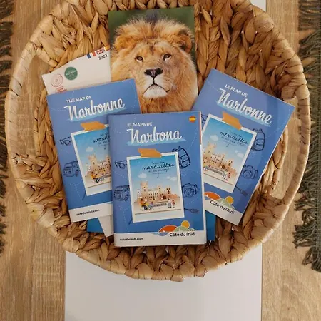 Charmant-studio Narbonne